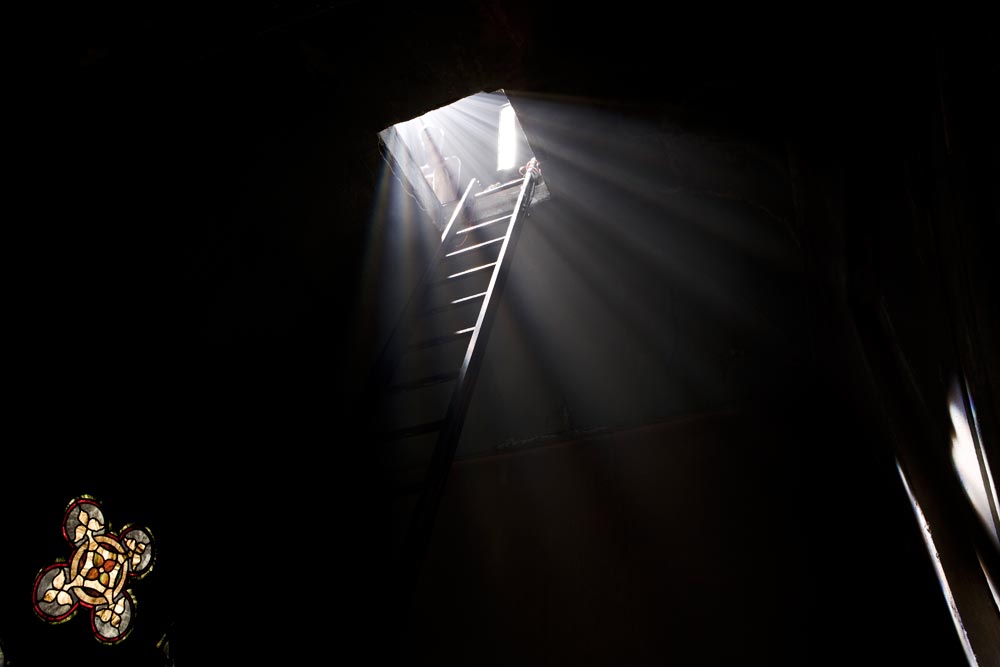 Radical Spirit, image 2